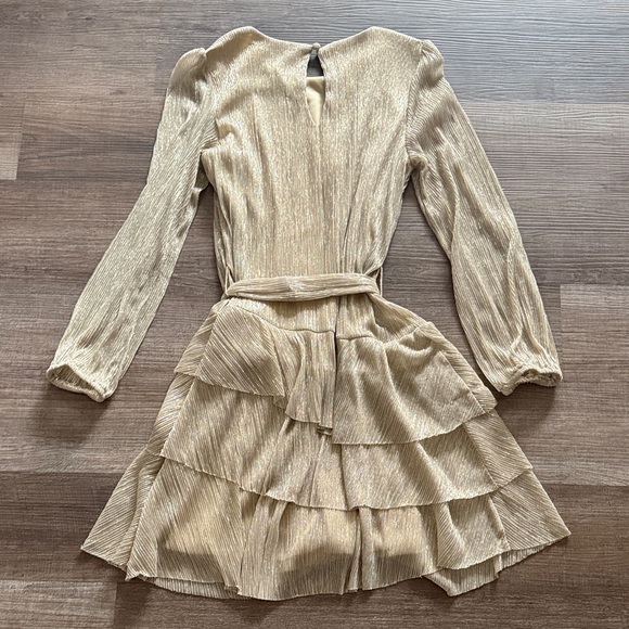 Express | Elegant Gold Long Sleeve Dress - Picture 3 of 3